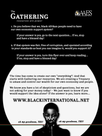 All Afrikan Empowerment Society (AAES)