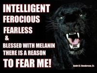 no cracker  no COONS no sympathizers no chaser
