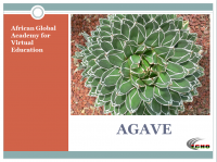 AGAVE