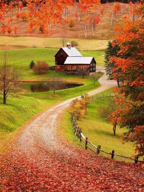 Peaceful & Beautiful.
