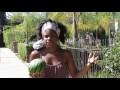 Black Vegans Rock Interview With Olympia Auset of S\u00dcPRMRKT